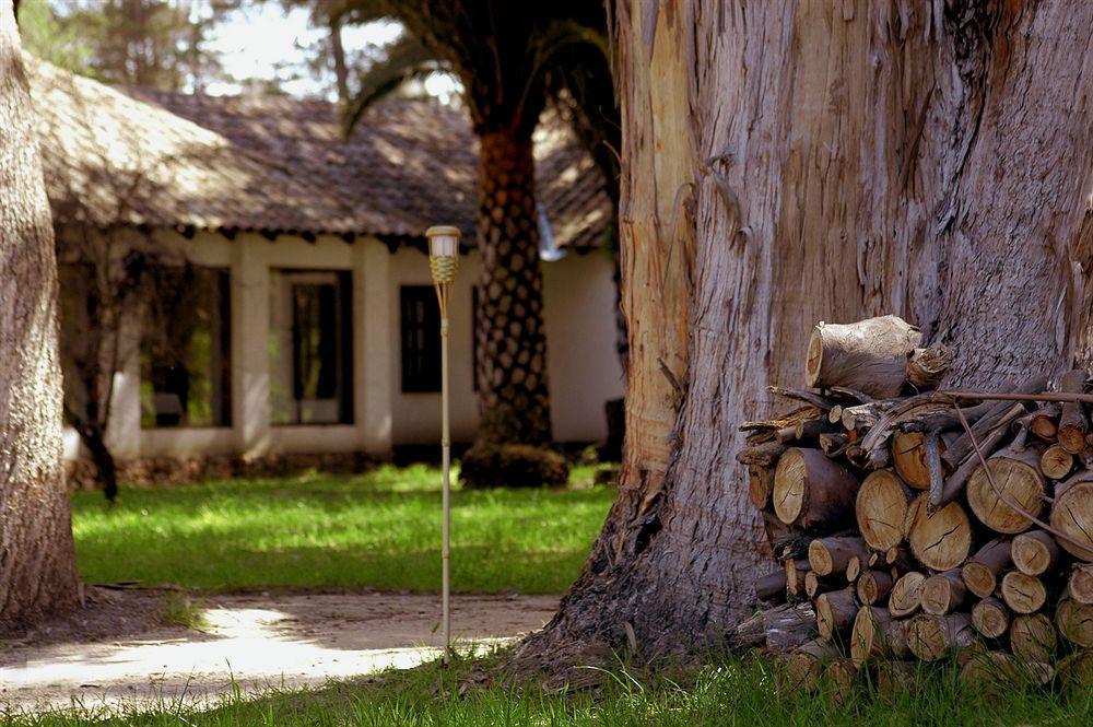 Hacienda Historica Marchigue Konuk evi Marchihue Dış mekan fotoğraf